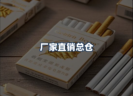 专业团队办公环境